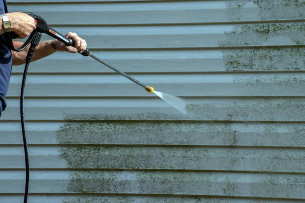 Best Roof Pressure Washing  in Red Rock, AZ
